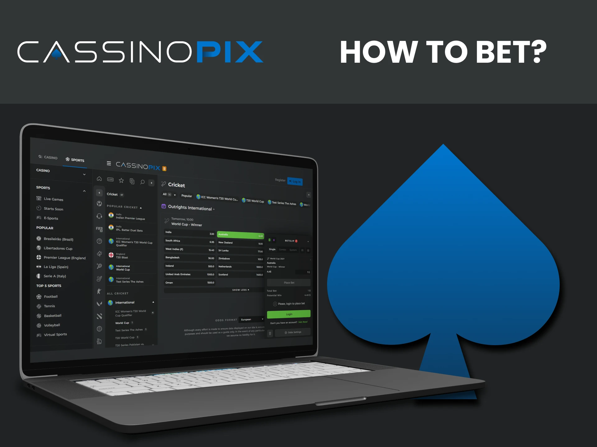 We will tell you how to start betting on cricket on Cassino Pix.